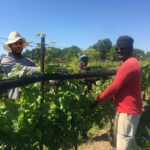 North 42 Degrees Estate Winery Vineyard Team